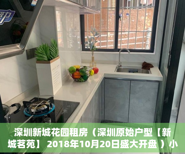 深圳新城花园租房（深圳原始户型【新城茗苑】 2018年10月20日盛大开盘 ）小产权怎么开发，