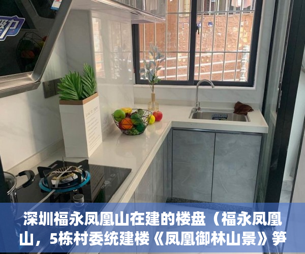 深圳福永凤凰山在建的楼盘（福永凤凰山，5栋村委统建楼《凤凰御林山景》笋盘推荐 ）东莞长安小产权房以后怎么办，