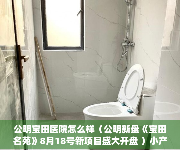 公明宝田医院怎么样（公明新盘《宝田名苑》8月18号新项目盛大开盘 ）小产权房买卖合同有效期多久，