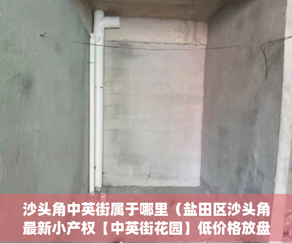 沙头角中英街属于哪里（盐田区沙头角最新小产权【中英街花园】低价格放盘 ）小产权房多久会拆，
