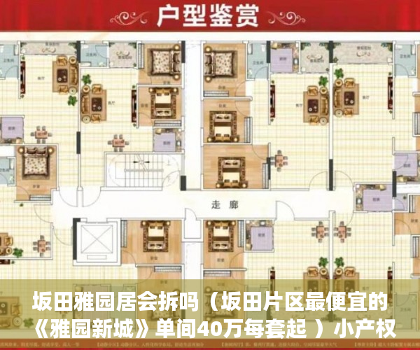 坂田雅园居会拆吗（坂田片区最便宜的 《雅园新城》单间40万每套起 ）小产权村委过户需要多久，