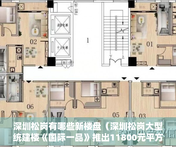 深圳松岗有哪些新楼盘（深圳松岗大型统建楼《国际一品》推出11800元平方米起 ）小产权房拆除怎么补偿，