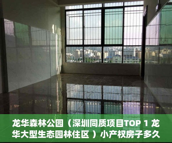 龙华森林公园（深圳同质项目TOP 1 龙华大型生态园林住区 ）小产权房子多久能卖出去，