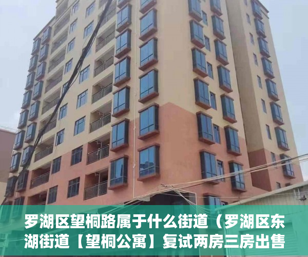 罗湖区望桐路属于什么街道（罗湖区东湖街道【望桐公寓】复试两房三房出售 ）违建小产权房过多久就不能拆了，
