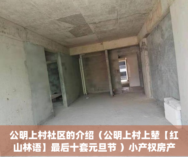 公明上村社区的介绍（公明上村上辇【红山林语】最后十套元旦节 ）小产权房产权到期续期可以续多久，