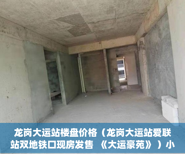 龙岗大运站楼盘价格（龙岗大运站爱联站双地铁口现房发售  《大运豪苑》 ）小产权拆迁要多久，