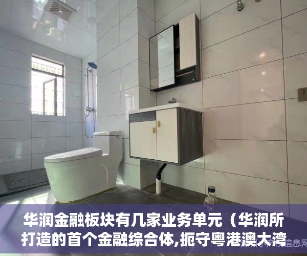 华润金融板块有几家业务单元（华润所打造的首个金融综合体,扼守粤港澳大湾区核心 ）深圳小产权房学位锁定多久解锁，