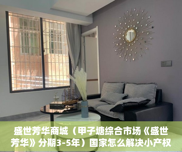 盛世芳华商城（甲子塘综合市场《盛世芳华》分期3-5年）国家怎么解决小产权房，