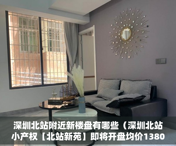 深圳北站附近新楼盘有哪些（深圳北站小产权【北站新苑】即将开盘均价13800平 ）小产权能住多久，