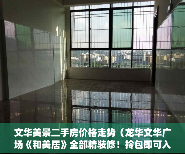 文华美景二手房价格走势（龙华文华广场《和美居》全部精装修！拎包即可入住！ ）小产权店面协议书怎么签，