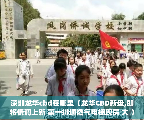 深圳龙华cbd在哪里（龙华CBD新盘,即将低调上新 第一排通燃气电梯现房 大 ）小产权转大产权多久可以下来，