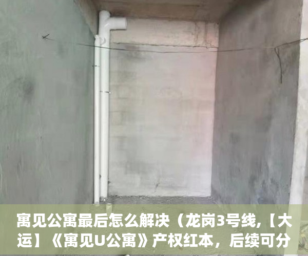 寓见公寓最后怎么解决（龙岗3号线,【大运】《寓见U公寓》产权红本，后续可分割 ）小产权买房后多久能拿到房产证，