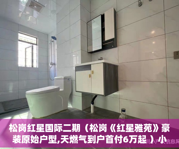 松岗红星国际二期（松岗《红星雅苑》豪装原始户型,天燃气到户首付6万起 ）小产权房的签名可以保存多久，