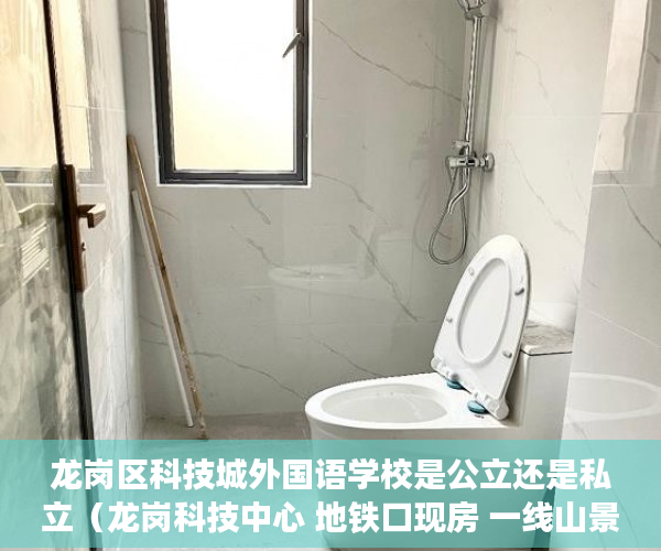 龙岗区科技城外国语学校是公立还是私立（龙岗科技中心 地铁口现房 一线山景 现楼臻稀综合体  ）小产权房怎么才知道有没有问题，