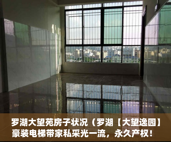 罗湖大望苑房子状况（罗湖【大望逸园】豪装电梯带家私采光一流，永久产权！ ）小产权变大产权多久满5年，