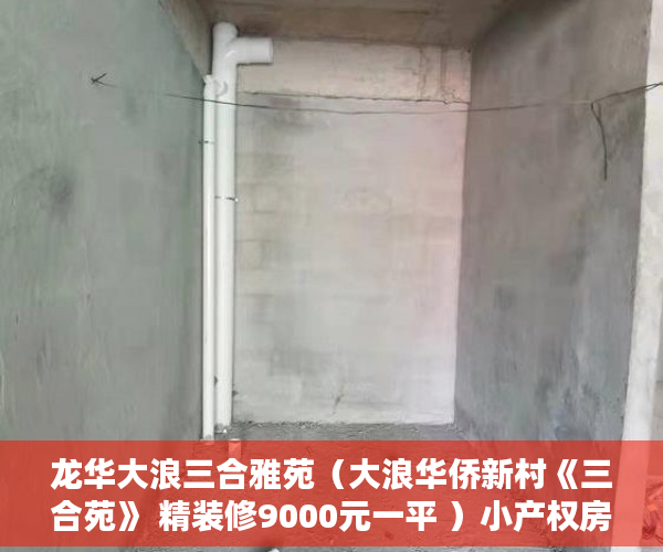 龙华大浪三合雅苑（大浪华侨新村《三合苑》 精装修9000元一平 ）小产权房公证怎么办，