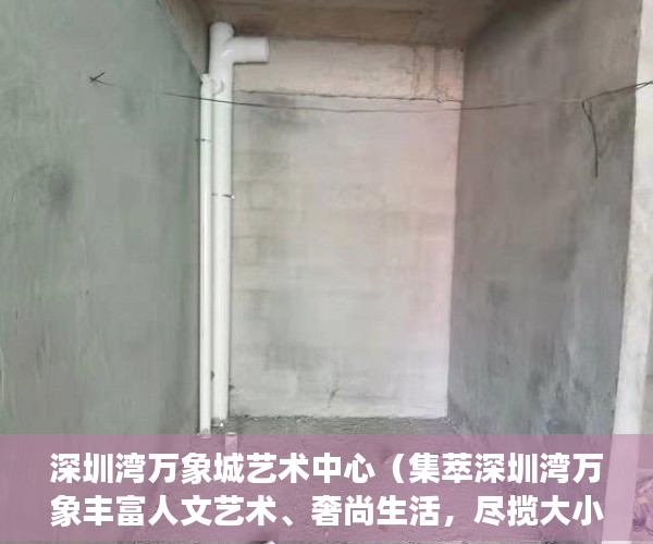 深圳湾万象城艺术中心（集萃深圳湾万象丰富人文艺术、奢尚生活，尽揽大小南山 ）小产权房开庭了多久下判决书，