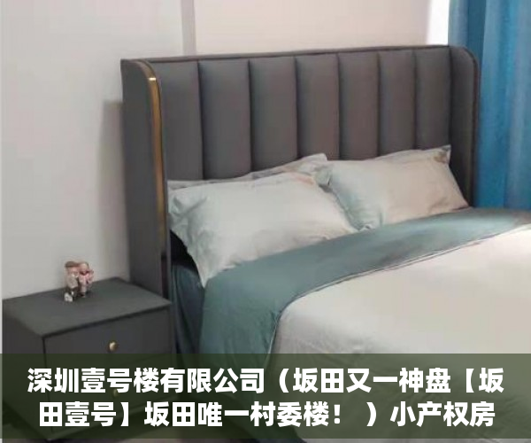 深圳壹号楼有限公司（坂田又一神盘【坂田壹号】坂田唯一村委楼！ ）小产权房公证怎么办，