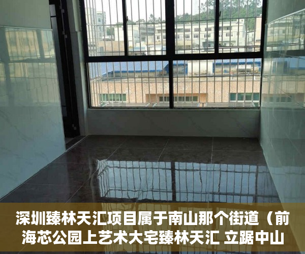 深圳臻林天汇项目属于南山那个街道（前海芯公园上艺术大宅臻林天汇 立踞中山公园之上 ）小产权房过户怎么公证，