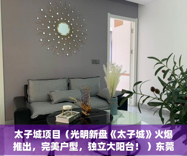 太子城项目（光明新盘《太子城》火爆推出，完美户型，独立大阳台！ ）东莞小产权房屋怎么办，