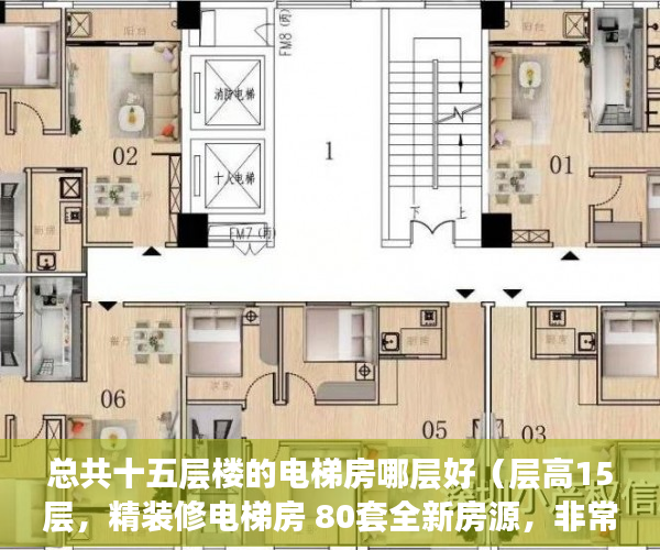 总共十五层楼的电梯房哪层好（层高15层，精装修电梯房 80套全新房源，非常稀缺 ）小产权房子多久能卖出去，