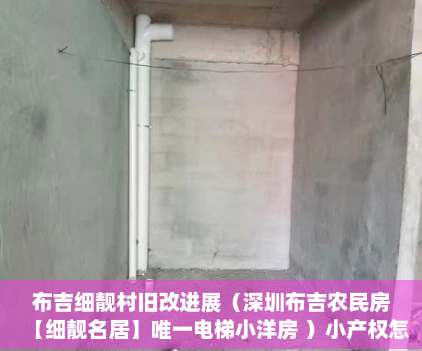 布吉细靓村旧改进展（深圳布吉农民房【细靓名居】唯一电梯小洋房 ）小产权怎么开发，