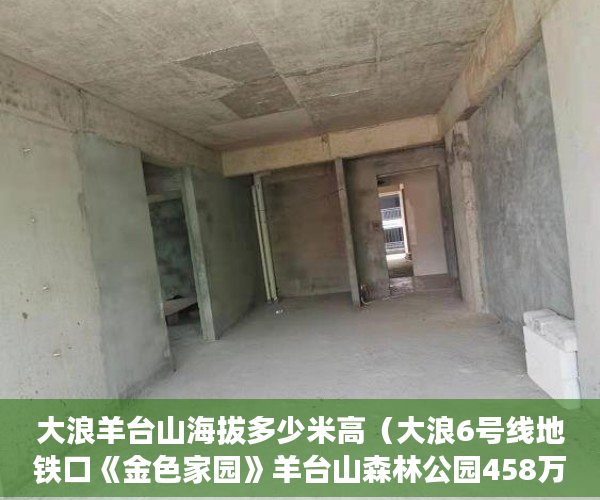 大浪羊台山海拔多少米高（大浪6号线地铁口《金色家园》羊台山森林公园458万套起 ）小产权分割商铺能用多久，