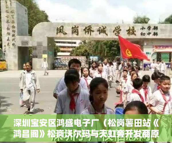 深圳宝安区鸿盛电子厂（松岗薯田站《鸿昌阁》松岗沃尔玛与天虹旁开发商原先保留 ）小产权房多久出售，