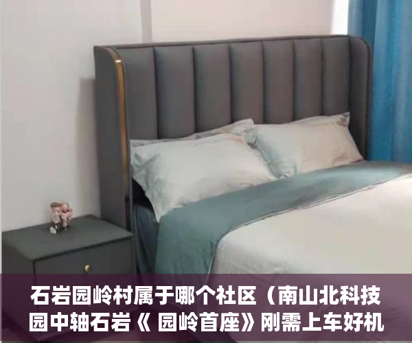 石岩园岭村属于哪个社区（南山北科技园中轴石岩《 园岭首座》刚需上车好机会 ）执行小产权房需要多久，