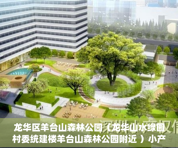 龙华区羊台山森林公园（龙华山水绿园村委统建楼羊台山森林公园附近 ）小产权买房时怎么成交，