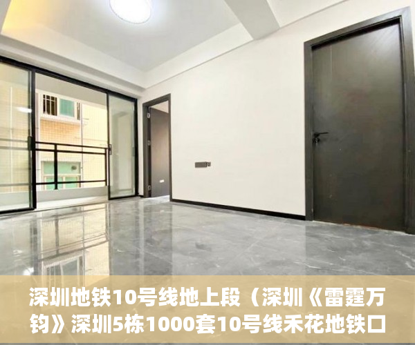深圳地铁10号线地上段（深圳《雷霆万钧》深圳5栋1000套10号线禾花地铁口300米物 ）小产权房无能力偿还债务怎么办，