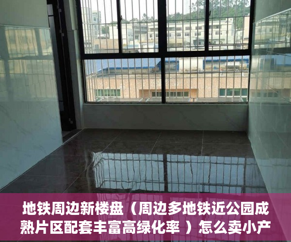 地铁周边新楼盘（周边多地铁近公园成熟片区配套丰富高绿化率 ）怎么卖小产权房，