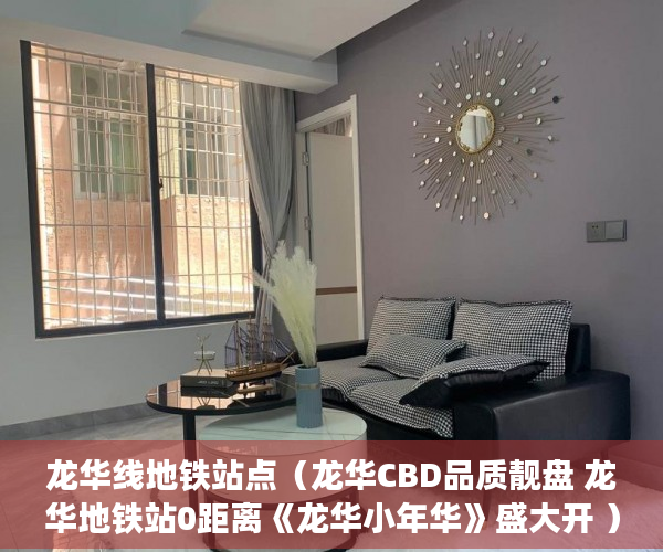 龙华线地铁站点（龙华CBD品质靓盘 龙华地铁站0距离《龙华小年华》盛大开 ）买了小产权房怎么申请公租房，