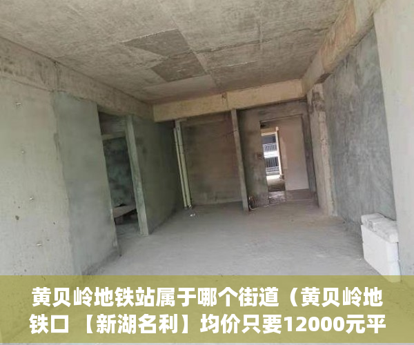 黄贝岭地铁站属于哪个街道（黄贝岭地铁口 【新湖名利】均价只要12000元平了 ）小产权多久认定为历史遗留，