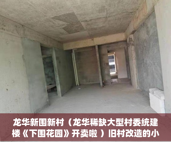 龙华新围新村（龙华稀缺大型村委统建楼《下围花园》开卖啦 ）旧村改造的小产权房怎么办，
