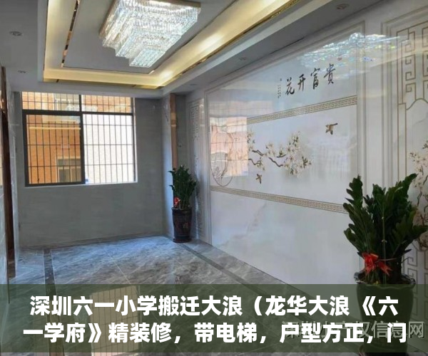 深圳六一小学搬迁大浪（龙华大浪 《六一学府》精装修，带电梯，户型方正，门口 ）2年前买的小产权房有纠纷怎么办，