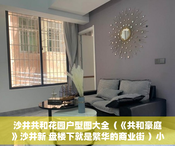 沙井共和花园户型图大全（《共和豪庭》沙井新 盘楼下就是繁华的商业街 ）小产权贷款需要多久，