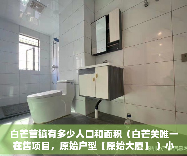 白芒营镇有多少人口和面积（白芒关唯一在售项目，原始户型【原始大厦】 ）小产权房使用时间是多久，