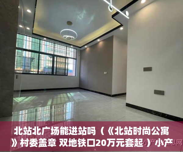 北站北广场能进站吗（《北站时尚公寓》村委盖章 双地铁口20万元套起 ）小产权法院多久，