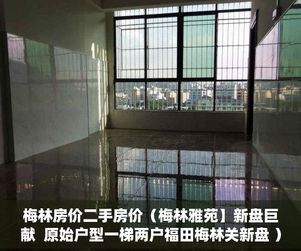 梅林房价二手房价（梅林雅苑】新盘巨献  原始户型一梯两户福田梅林关新盘 ）小产权房无能力偿还债务怎么办，