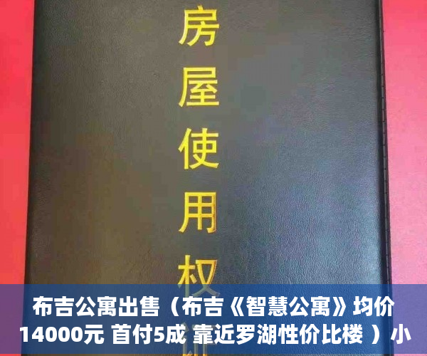 布吉公寓出售（布吉《智慧公寓》均价14000元 首付5成 靠近罗湖性价比楼 ）小产权房怎么更名过户要多久，