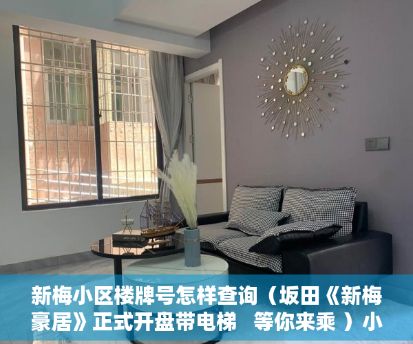 新梅小区楼牌号怎样查询（坂田《新梅豪居》正式开盘带电梯   等你来乘 ）小产权期限多久，