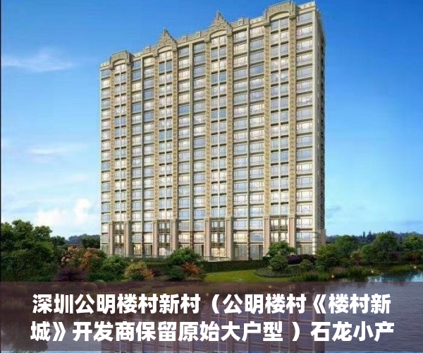 深圳公明楼村新村（公明楼村《楼村新城》开发商保留原始大户型 ）石龙小产权房怎么更名过户，