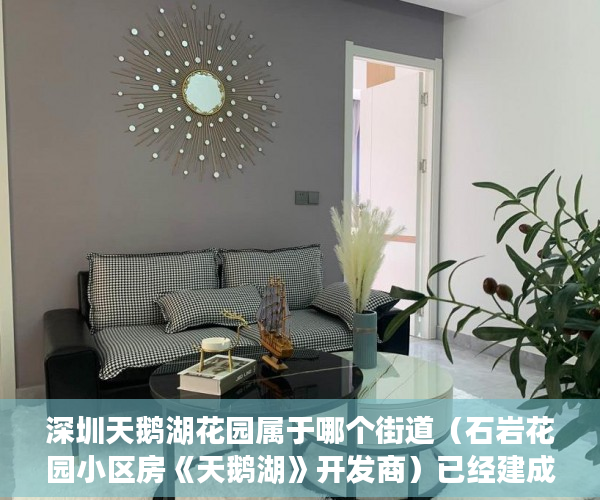 深圳天鹅湖花园属于哪个街道（石岩花园小区房《天鹅湖》开发商）已经建成了小产权房怎么办，