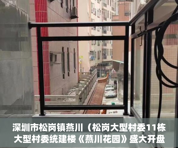 深圳市松岗镇燕川（松岗大型村委11栋大型村委统建楼《燕川花园》盛大开盘 ）小产权买房时怎么成交，