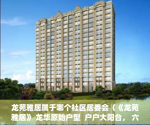 龙苑雅居属于哪个社区居委会（《龙苑雅居》 龙华原始户型  户户大阳台， 六号线双地铁 ）小产权房认定后怎么办，