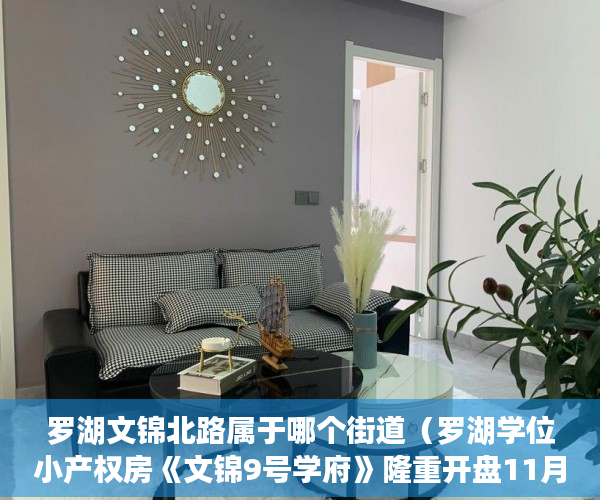 罗湖文锦北路属于哪个街道（罗湖学位小产权房《文锦9号学府》隆重开盘11月耀世呈献 ）小产权房子怎么过户，
