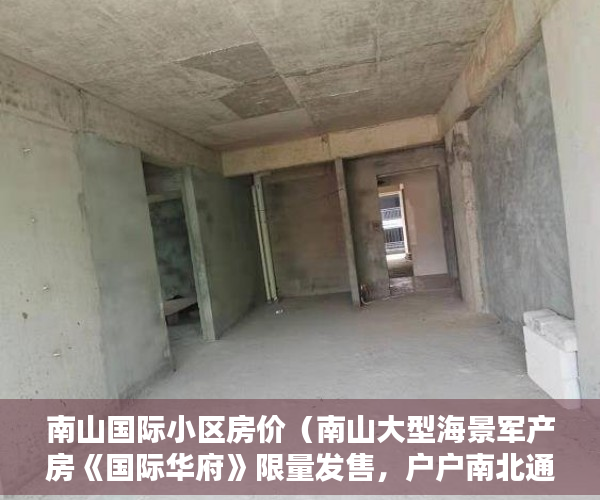 南山国际小区房价（南山大型海景军产房《国际华府》限量发售，户户南北通透 ）小产权多久能办房产证，