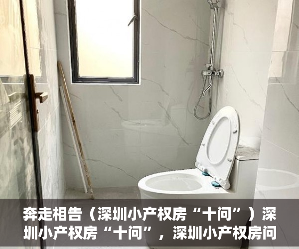奔走相告（深圳小产权房“十问”）深圳小产权房“十问”，深圳小产权房问题，