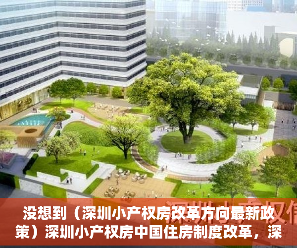 没想到（深圳小产权房改革方向最新政策）深圳小产权房中国住房制度改革，深圳出台小产权房国有化政策，